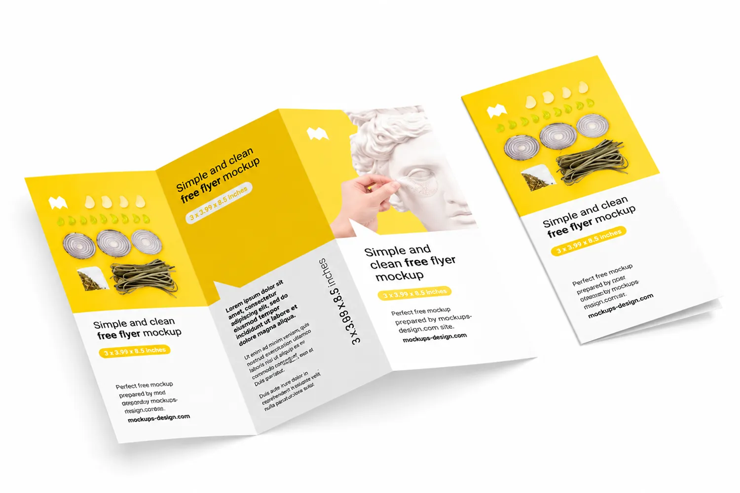 Tri-Fold & Bi-Fold Brochures