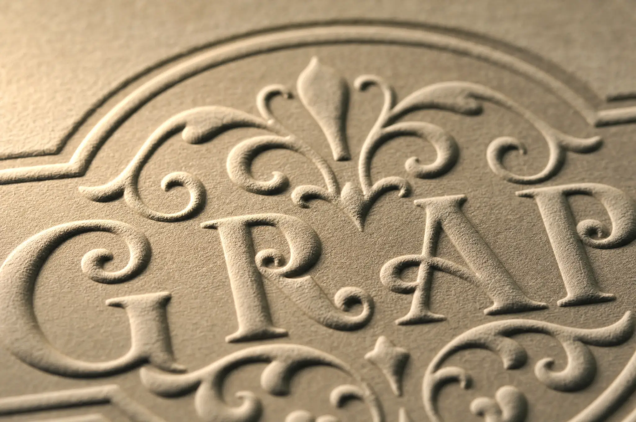 Close-up of an embossed book cover showing raised text and intricate detail on textured paper
