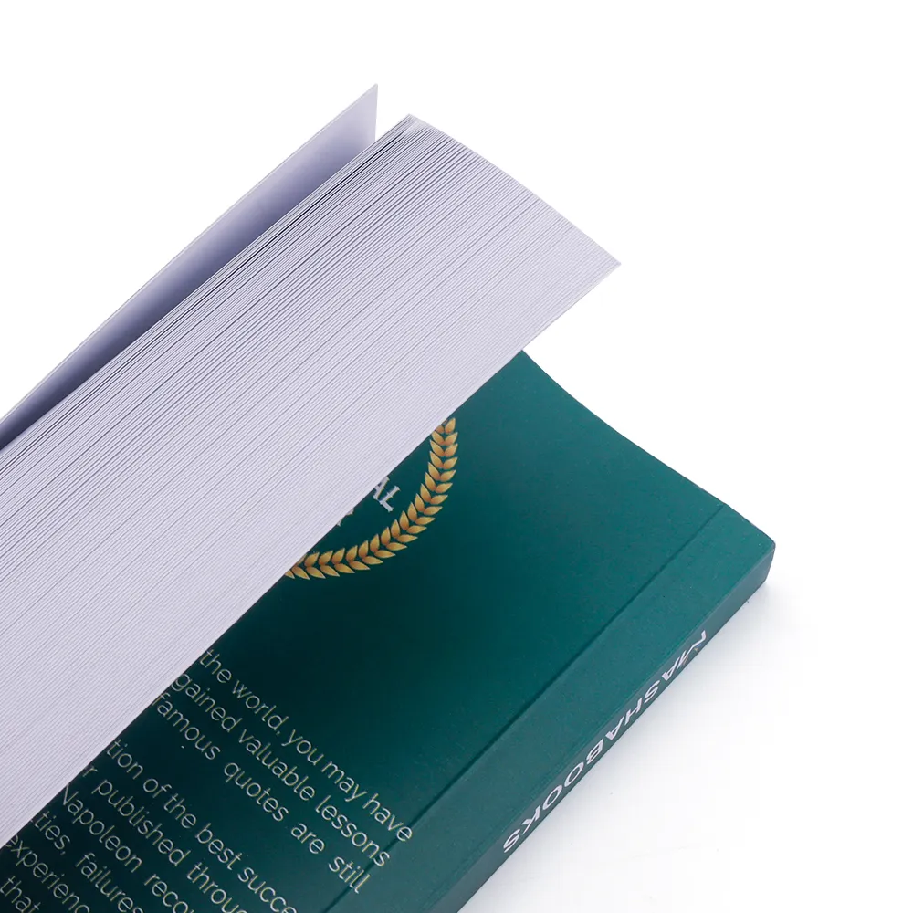 large print paperback novels